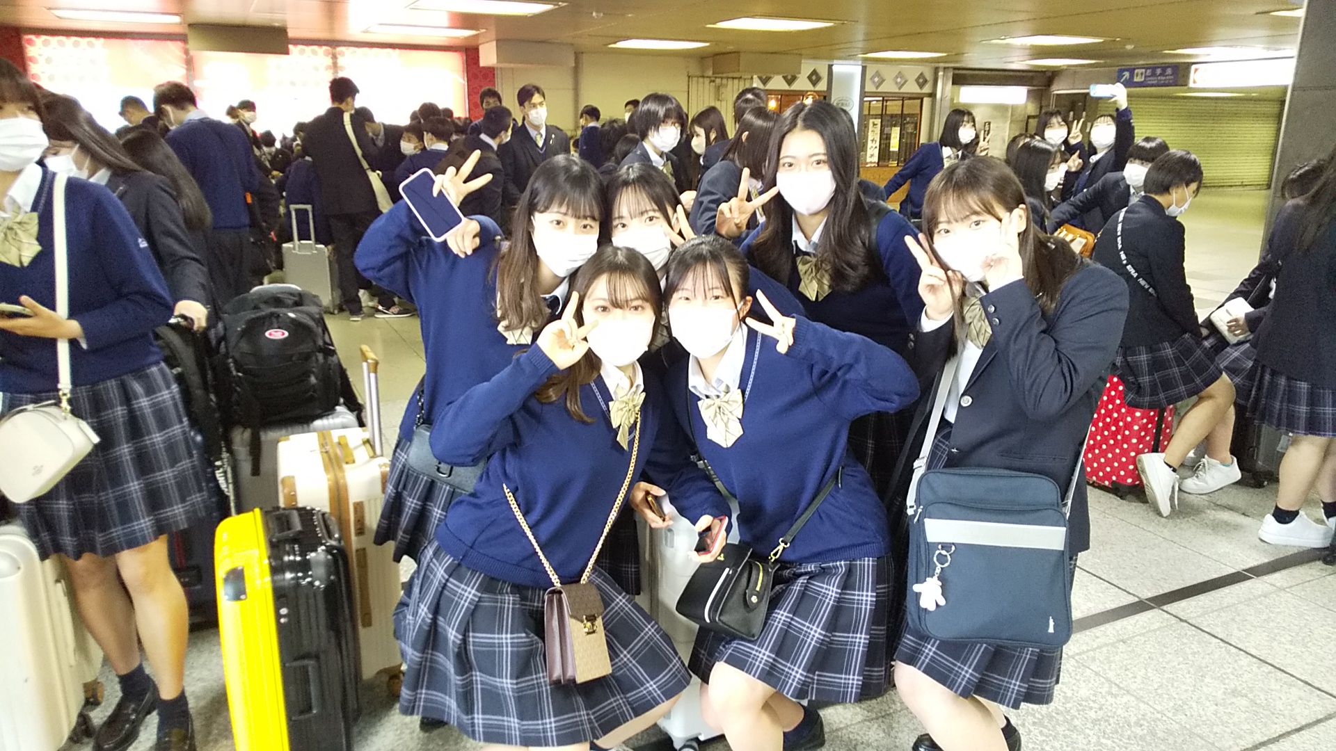 【中古】 奈良育英高等学校（13年度） 2026年最新】Yahoo!オークション -奈良育英(本、雑誌)の中古品・新品