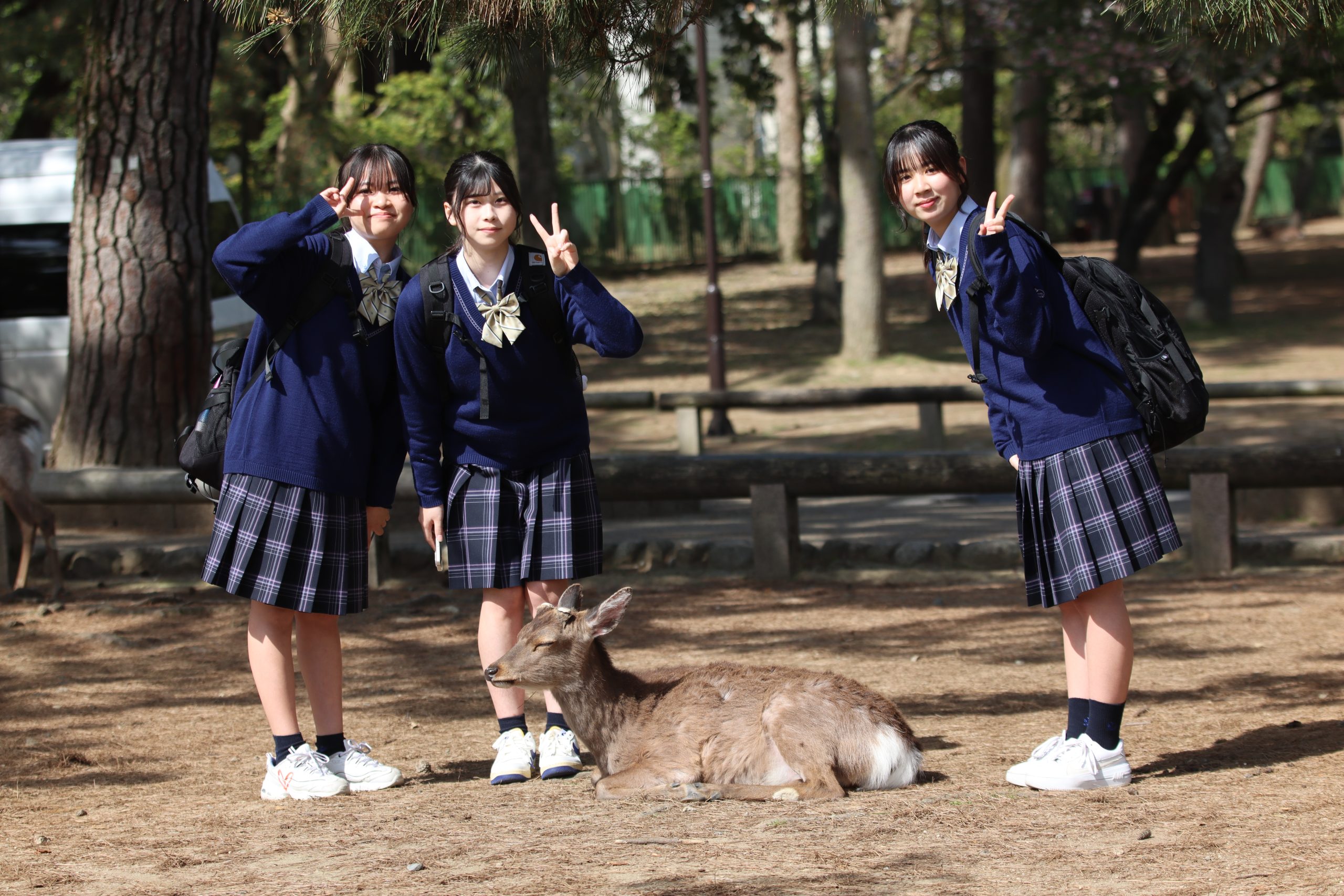 校外学習 高校1年生 – 奈良育英中学校・高等学校