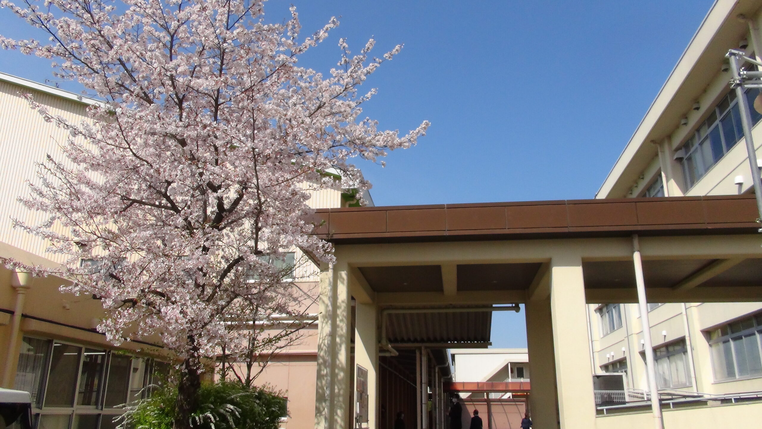 令和7年度 奈良育英中学校・高等学校入学式 – 奈良育英中学校