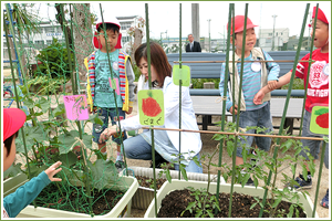 自然や動植物とのふれあい