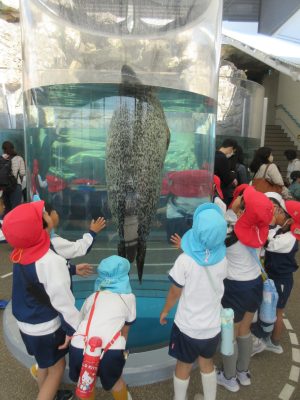 京都水族館へ行きました。